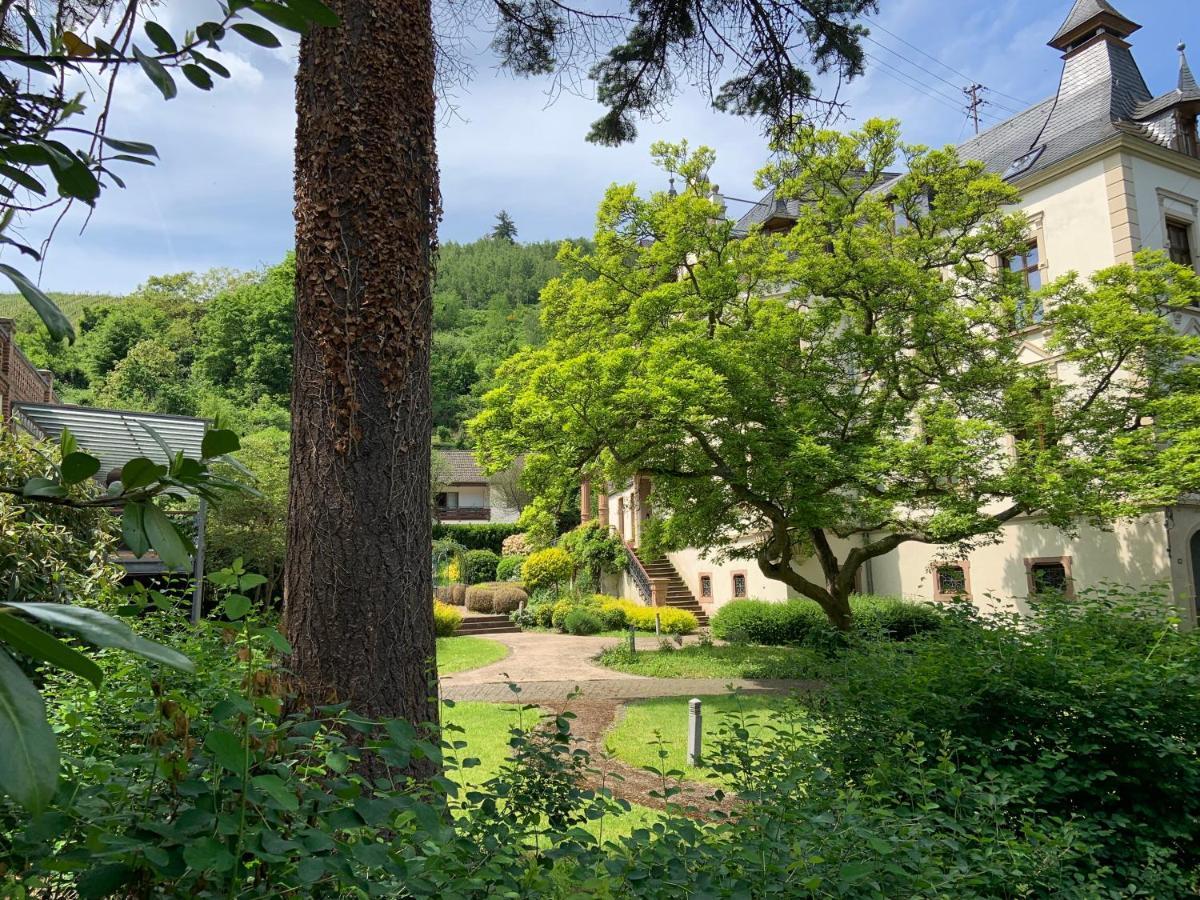 Fewo Schieferjuwel 1 Og Weingut Ca-Haussmann Apartman Traben-Trarbach Kültér fotó